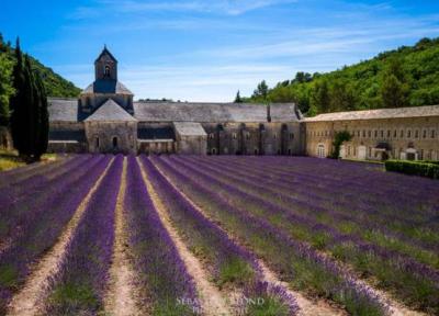 طبیعت پروونس با رنگ و عطر فرانسه طبیعت پروونس با رنگ و عطر فرانسه