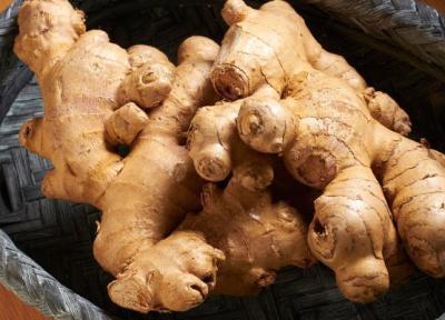 در آپارتمان تان زنجبیل پرورش دهید! در آپارتمان تان زنجبیل پرورش دهید!